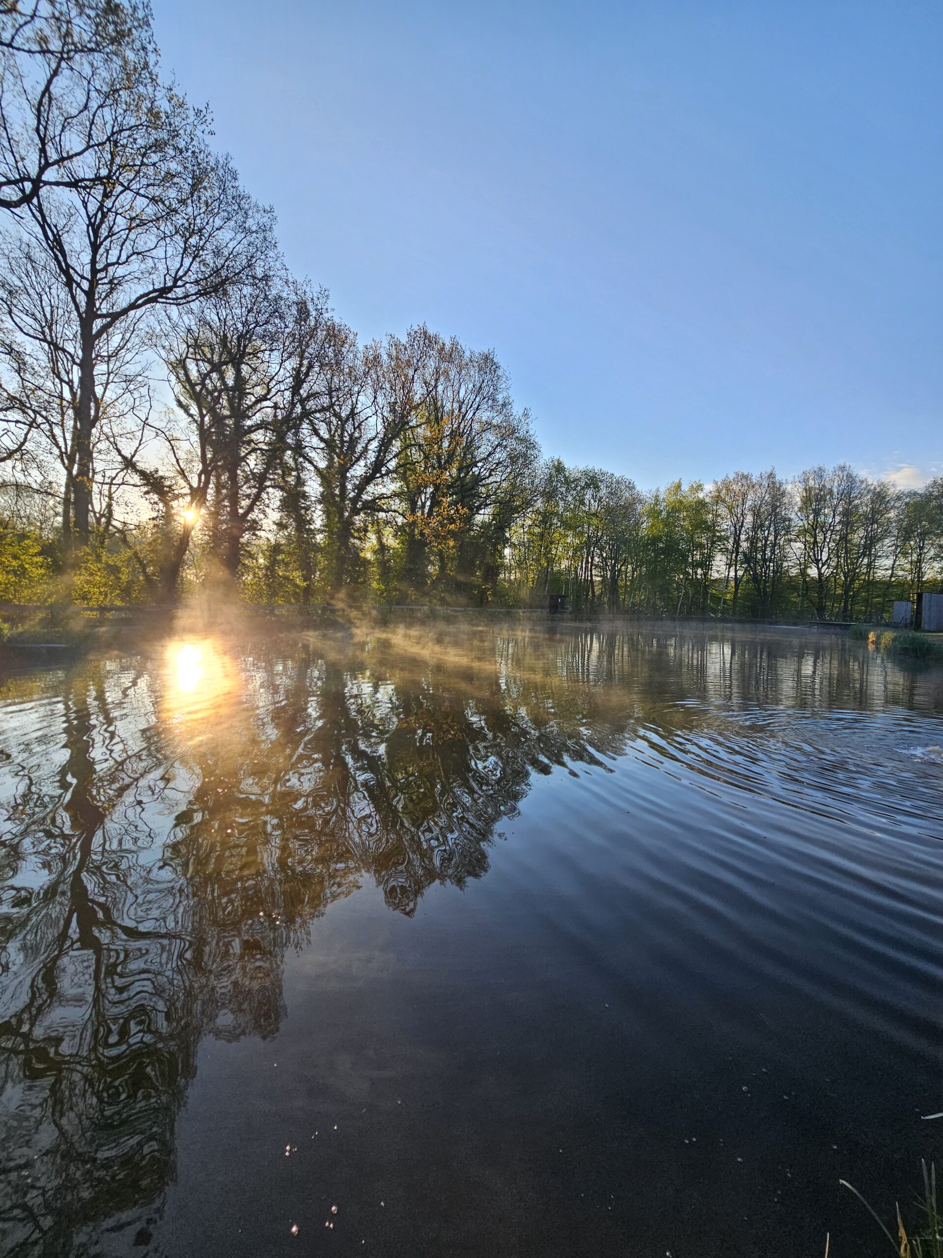 Homepage Garlstedter Fischzucht Angelteiche in Osterholz Scharmbeck
